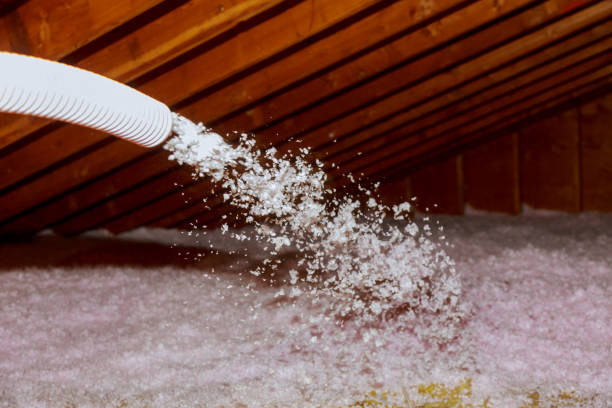 Types of Insulation We Offer in Christiana, TN