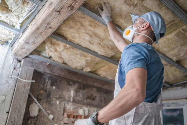 Best Spray Foam Insulation in Christiana, TN