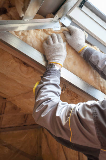 Best Spray Foam Insulation in Christiana, TN