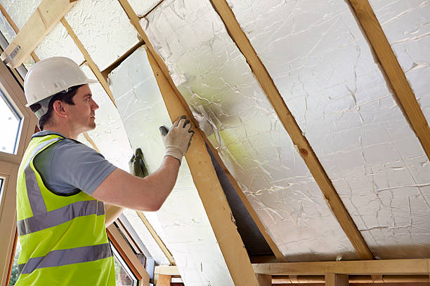 Best Eco-Friendly Insulation in Christiana, TN